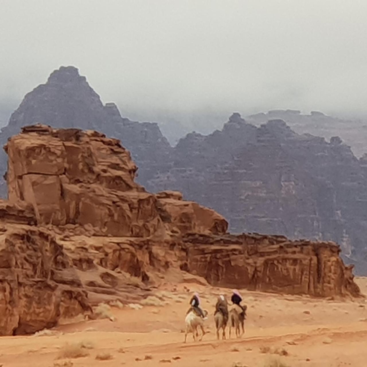 Hotel Real Bedouin Experience Tours & Camp Wadi Rum Esterno foto